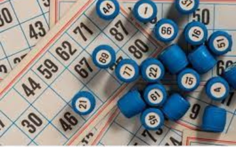 lottery sambad night at 91Club